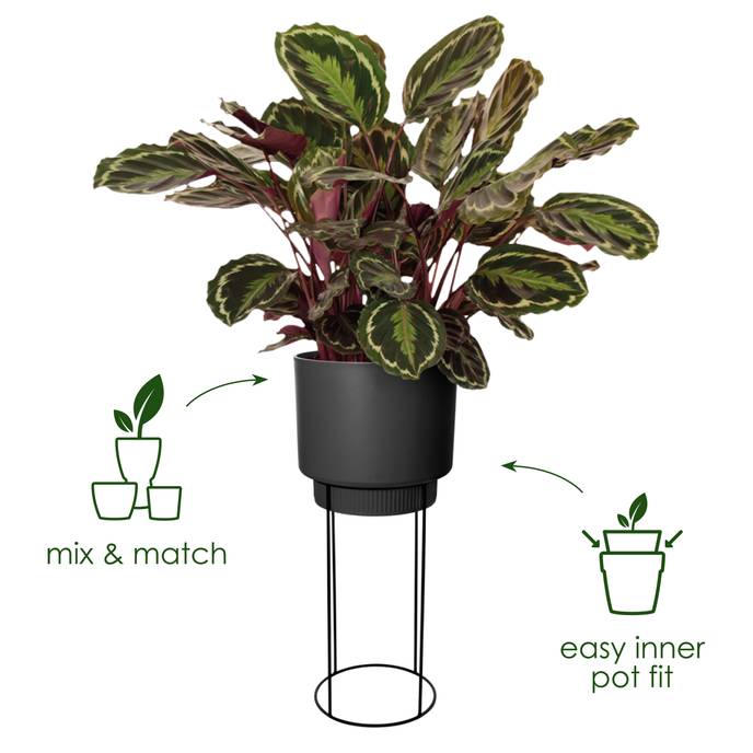 b.for studio round 30cm brilliant red